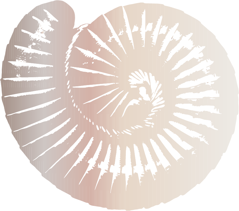 Vejle Mentale Sundhedshus